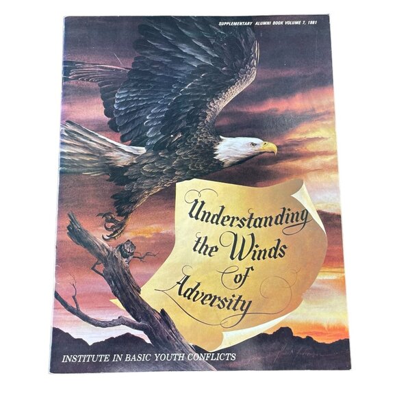 Institute Basic Youth Conflicts Understanding Winds u Adversity Book Volume 7 19 - Picture 1 of 3